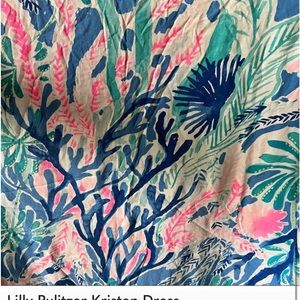Lilly Pulitzer Kristen Dress